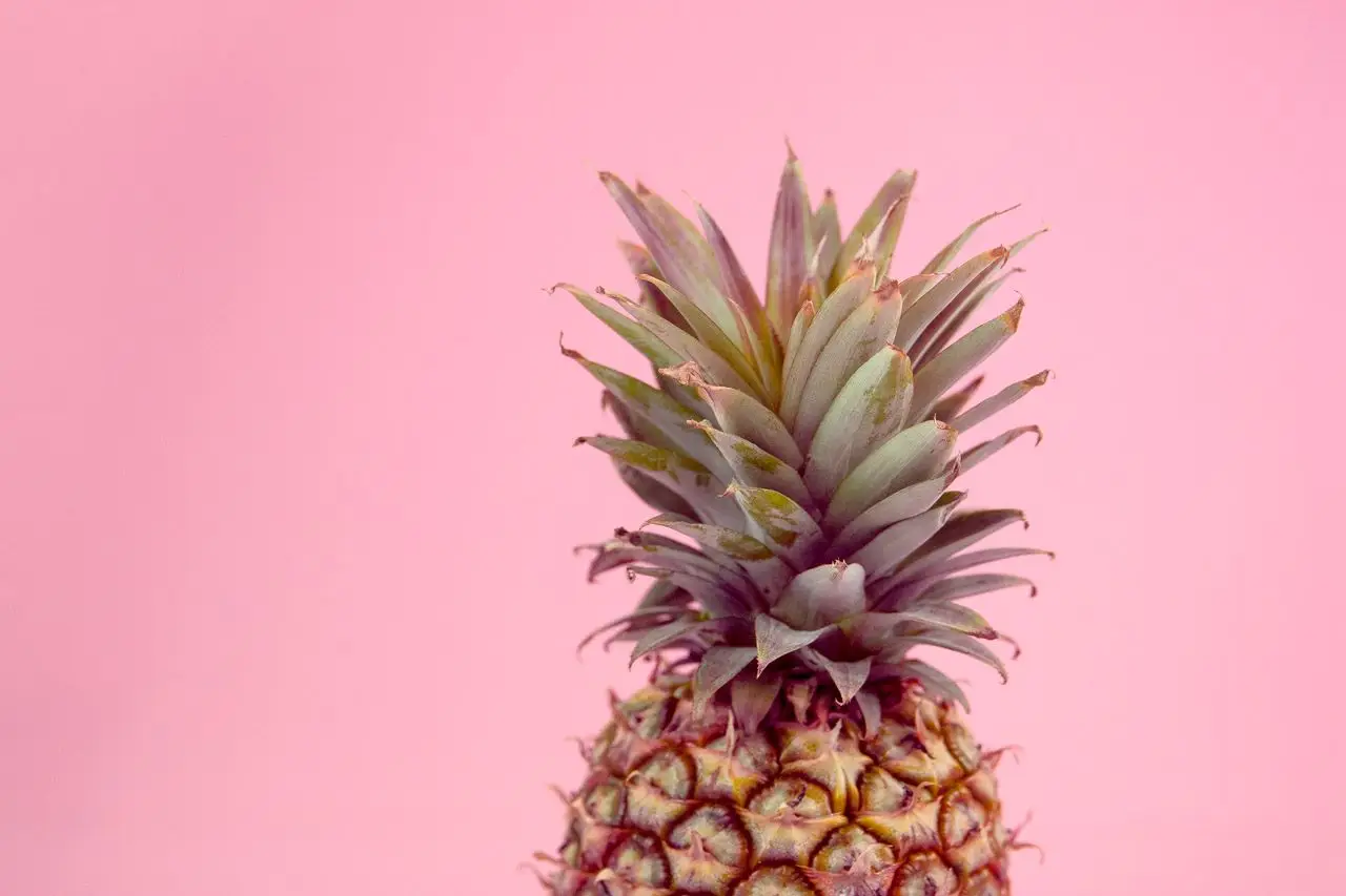 Vivid close-up of a pineapple against a pink background, showcasing tropical freshness.